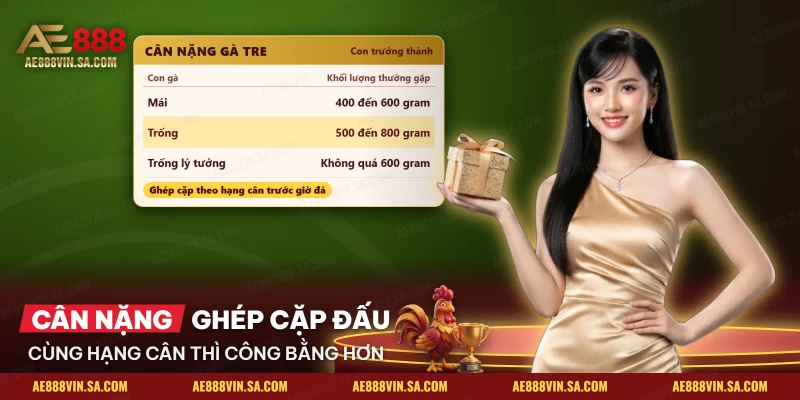 Bảng cân nặng gà tre mái, trống và trống lý tưởng của đá gà tre AE888