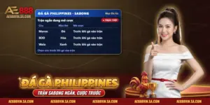 Đá Gà Philippines AE888 – Đấu Trường, Cách Theo Dõi Và Kèo Cược