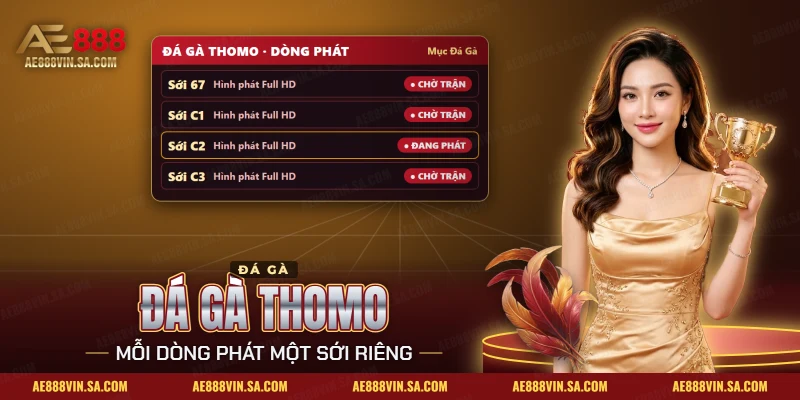 Đá Gà Thomo AE888 – Lịch Đấu Theo Khung Giờ Và Cách Xem Trực Tiếp