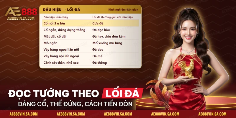 Bảng dấu hiệu nhìn thấy và lối đá thường gắn với từng dấu hiệu của gà nòi