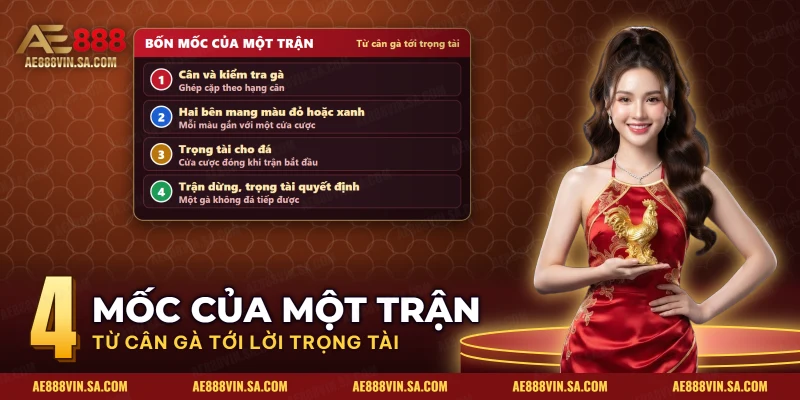 Thể thức một trận đá gà tre gồm bốn mốc từ cân gà đến lời của trọng tài